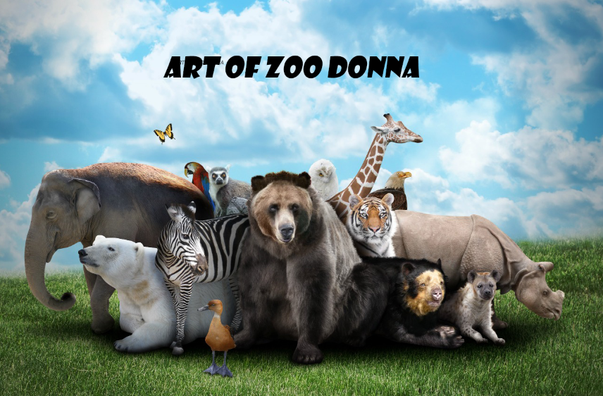 Art of Zoo Donna